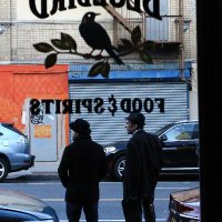 Max & Los Americanos (@losamericanos) 's Twitter Profile