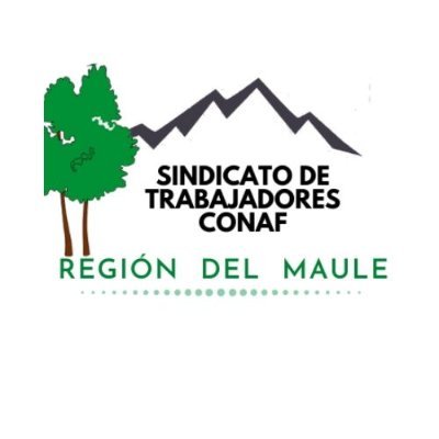 Cuenta oficial Sindicato de Trabajadores de CONAF Región del Maule.