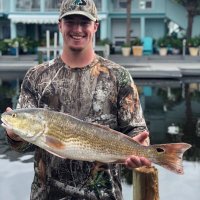 Chase Ferem (@chaseferem) 's Twitter Profile