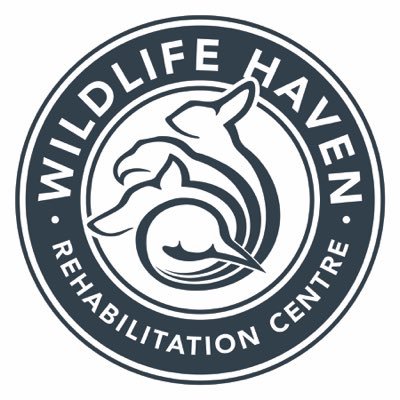 CALL 204-878-3740 for wildlife help. Rehabilitating injured, sick and orphaned wildlife for their return to the wild. #WildlifeRehab. Open from 9 am to 5 pm.