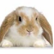 Privater Account von hase. Ich schreibe hier nur was mich persönlich drückt.