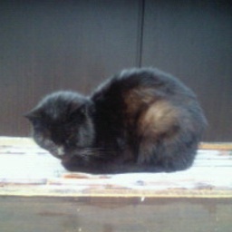 d_tonoyan's profile picture. 映像で飯食ってるフリーランスです。分類的にはオタク属性。のらりくらりと漂ってます。