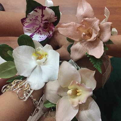 nadvelarde's profile picture. 