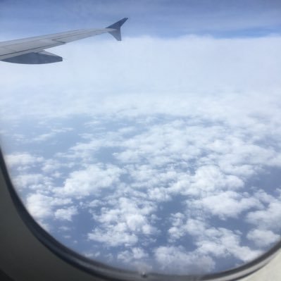 GTernelus's profile picture. Quem não arrisca não petisca “Dear future generations, you will come of age for our nations;we will bleed and fight for you to pass the mantle to blow us away.”