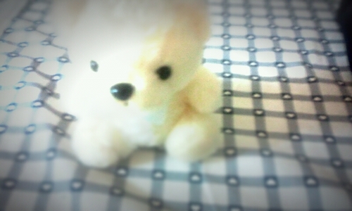 Picture
