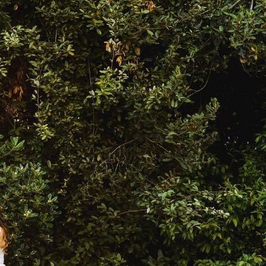 africamfreedom's profile picture. Just dreaming