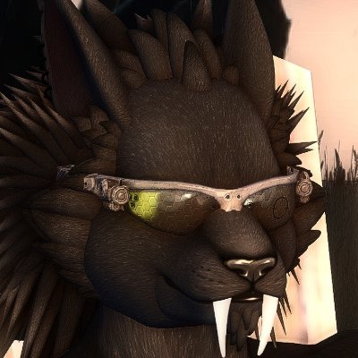 Muckさんのプロフィール画像
