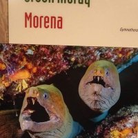 Marina Munkhoeva (@maremun) 's Twitter Profile