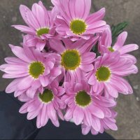 MahaAlzahrani (@im_180) Twitter profile photo