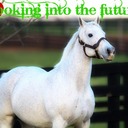 Tabitha Haney - @HorseGirl420 - Twitter