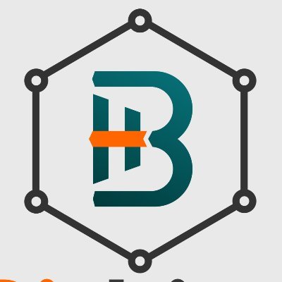 BitHind Profile