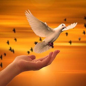 Nothing in this world can take the place of persistence. Education will not: the world is full of educated derelicts. Persistence alone is omnipotent.
