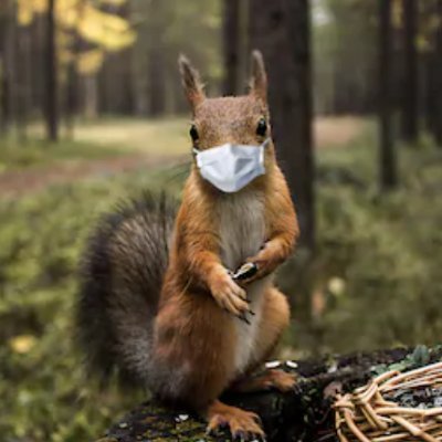 Big Brother's best kept secret. 🥜 #BBcomps 🥜 #BBSquirrel ¯\_(ツ)_/¯ #TeamBennyBB #Parody 🥜 #CampBBMascot 🥜 No CBS Affiliation 🐿 #911 Survivor 🇺🇸 🦅