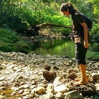 Netra Bhandari (@netra1128) 's Twitter Profile