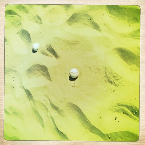 mlb_dreamer's profile picture. 