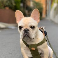 TiB_TOKIO (@tibtokio) Twitter profile photo