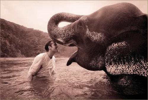 DanielaYude's profile picture. 