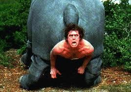 KyleAceVentura's profile picture. 