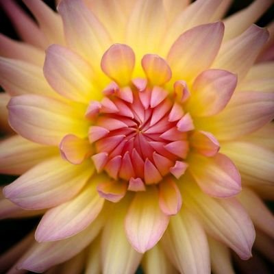 9oXmiDq4iX7q2bk's profile picture. الخاص معلق 🔇