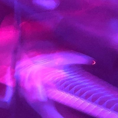 TheCakeMann's profile picture. 