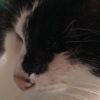みけ (@mike29231086) 's Twitter Profile