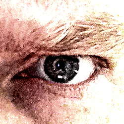 Creative Director, Accidental Activist, Doomsayer. Not necessarily in that order.
