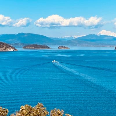 bbarthelmess's profile picture. Dad, tech executive, entrepreneur, chronic abuser of the ellipsis ... uh ... doodler and fellow traveler. "Everything is everything and nothing is nothing."