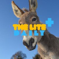 The Lite Daily(@TheLiteDaily) 's Twitter Profile Photo
