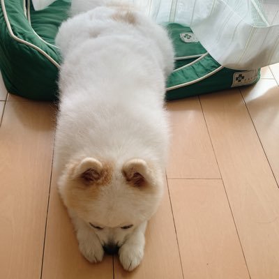 yayo3o's profile picture. 