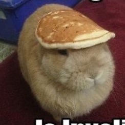 iCannot_Do's profile picture. Professional Fortnite and VALORANT thrower | 10x @liqqarian ratioer | I sell @sneezyXR’s bread