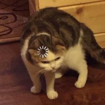 Smile37346017's profile picture. 