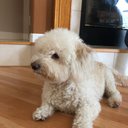 matthew duque - @Elizabe80853081 - Twitter