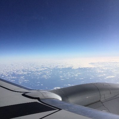 LamuneMorinaga's profile picture. 