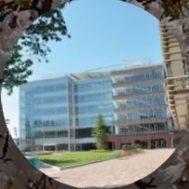 y35351636's profile picture. nucc