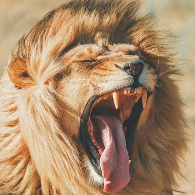 cryptotrdrr's profile picture. 