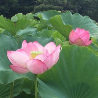 📎えりり🖐️ (@23jifvh4l7nrnpl) 's Twitter Profile Photo