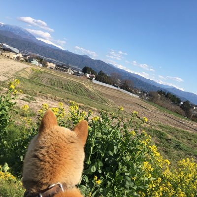 子どもが大切なら、日本を思うなら、もう見ないふりしてられない。 動物虐待 生体販売反対 エロと稼げます系はブロックします。