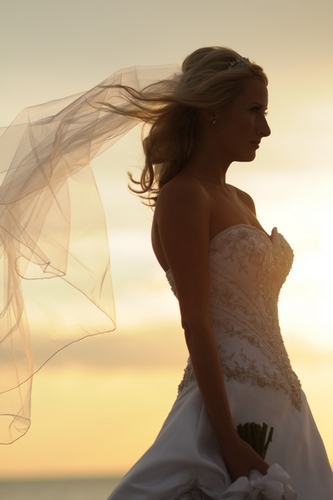 Jenelainephoto's profile picture. Wedding, Portrait, and Lifestyle Photographer. We are currently located in Denver, Colorado. But love destination weddings! Have camera...will travel!