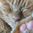 orion_2828