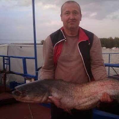 minals789's profile picture. СВАКОГ СВОЈА СРЕЋА ПРАТИ
ДА БИ ТЕ СТИГЛА УСПОРИ МАЛО