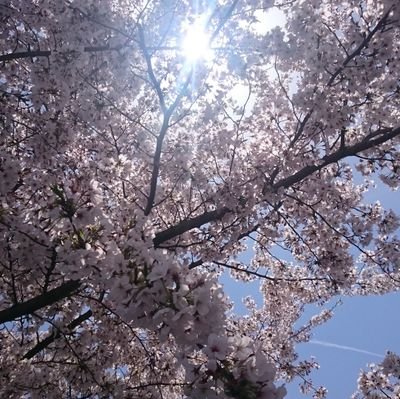 縁あって特許事務員やっとります。天職に巡り会えて幸せです。理系院卒→ＳＥ→特許事務員のレアキャリア。
★子供３人
★知的財産管理技能士２級
★TOEIC945
★工業英検２級
★ソフトウェア技術者(現：応用情報技術者)
★Excel VBAエキスパート(スタンダード)