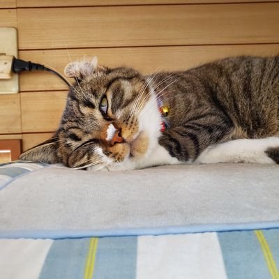 Mak19781's profile picture. 