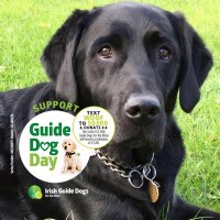 Cassie AD (@cassieigd) 's Twitter Profile