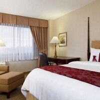 Crowne Plaza Hotel(@CrownePlazaWP) 's Twitter Profile Photo