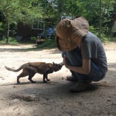 それでも行くよ ゆっくりでも 遠くまで🏃♀️ https://t.co/FWTY9MbRTj