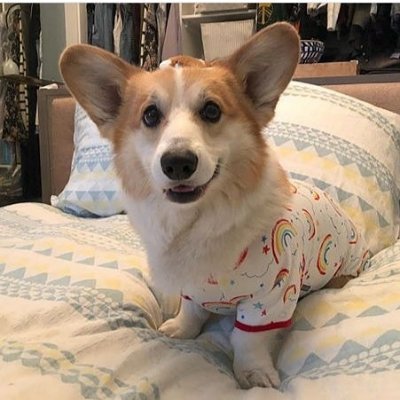 AdeyemiDubay's profile picture. I Am proudly a wowapp user. Your daily activities on wowapp Chat & News, Talk, Instant Earn, Games, Smart Web, Smart Slide, Go shopping, Computer & Web.