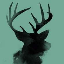 solitary_stag's profile picture. 