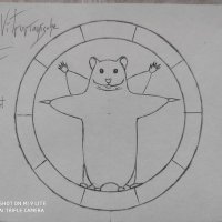 🐹 in a Wheel 🎡of life (@partm0ney) 's Twitter Profile