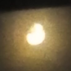 ShellMarble's profile picture. i'm a gxth b!tch