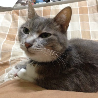 三国天武を楽しく遊んでます。
無理せず、焦らずに楽しみましょう!!
自分を知って相手を理解、相手に思いやりを!